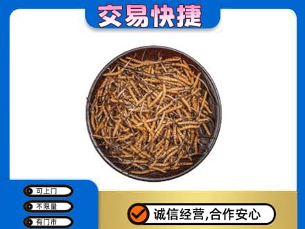 锦州市古塔回收散虫草